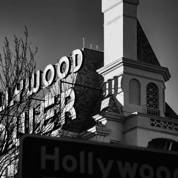 a-chupacabra-sighting