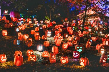 against-the-werewolf