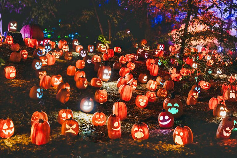 against-the-werewolf