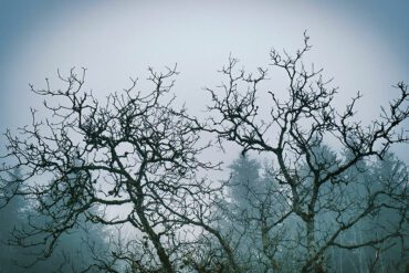 emily-and-the-spirit-doll