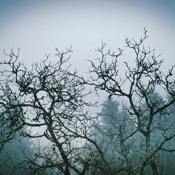 emily-and-the-spirit-doll