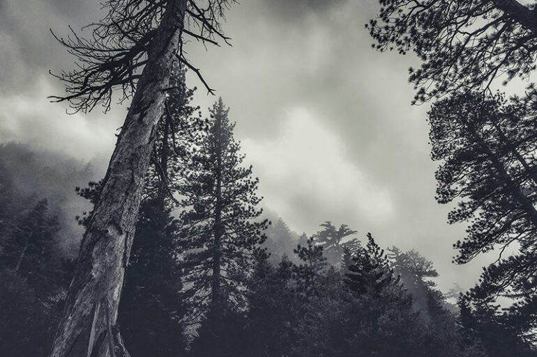 gaslamp-tour-by-haunted-san-diego-ghost-tours