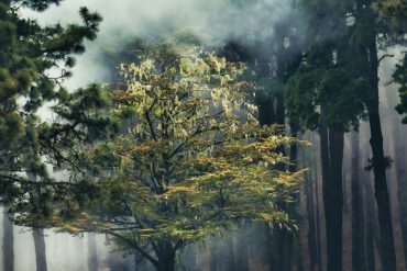 ghosts-murders-mayhem-walking-tours