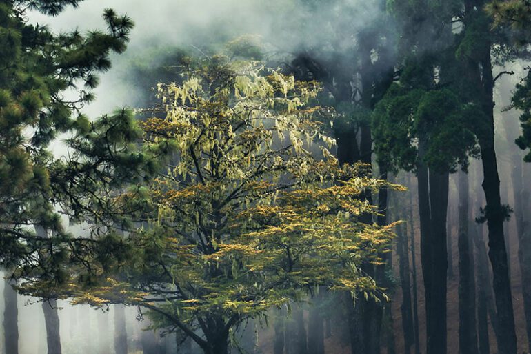 ghosts-murders-mayhem-walking-tours