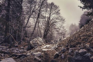 haunted-haight-walking-tour