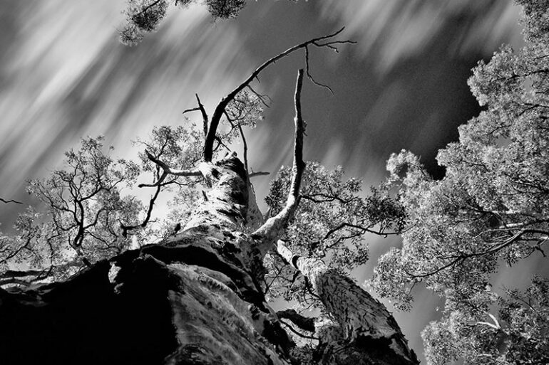 haunted-orange-county