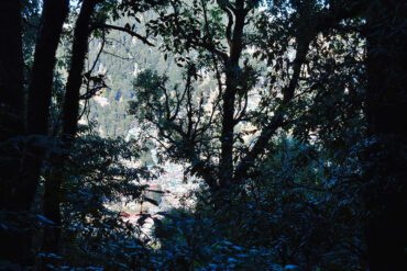 oc-ghosts-and-legends