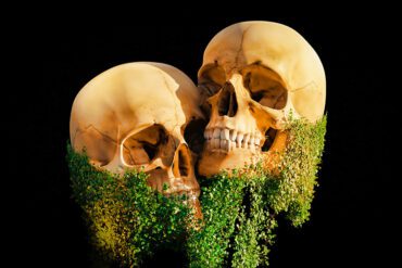 san-diego-history-old-town-walking-tour