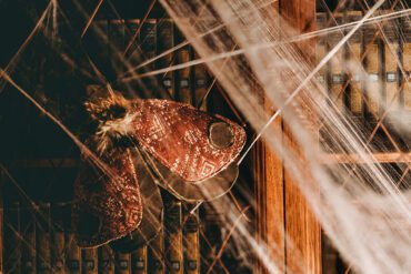 the-priest-with-a-dark-secret