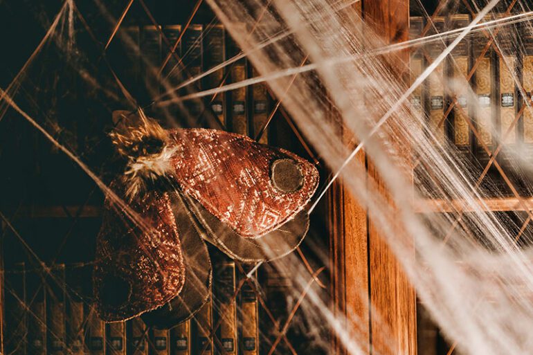 the-priest-with-a-dark-secret