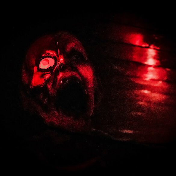 the-queen-marys-dark-harbor