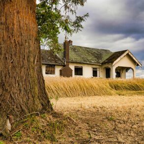 the-unidentified-encounter