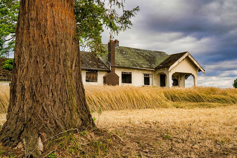 the-unidentified-encounter