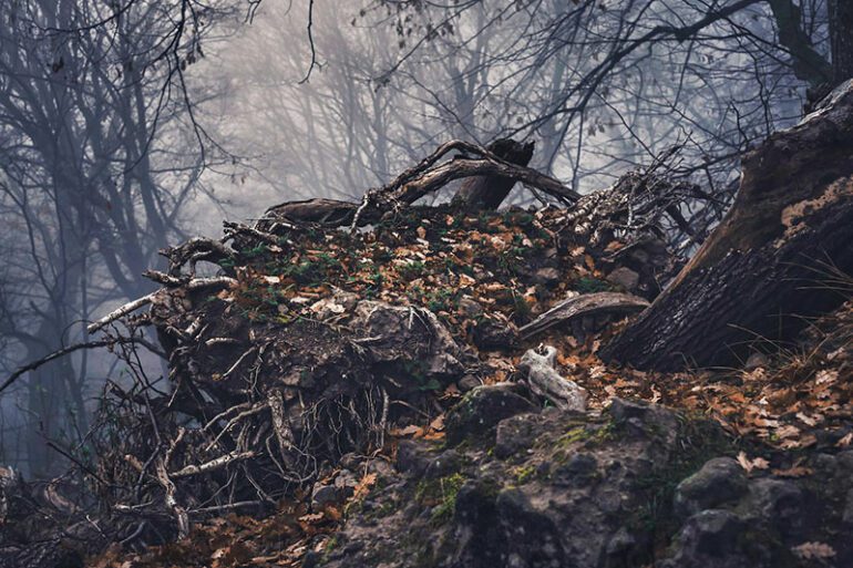 sf-chinatown-ghost-tours